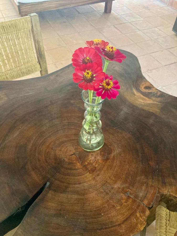 Cabana Paraguitos Brisas de Zicatela エクステリア 写真